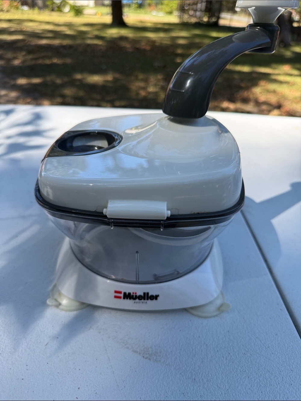 Portable kitchen appliance (not audio)